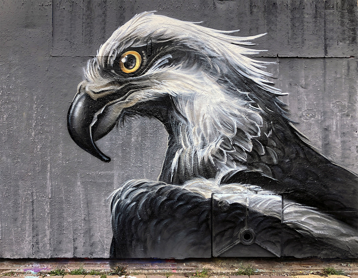 street-art. graffiti, spraycan, painting, spuitbus, eagle, speed light, ndsm, amsterdam, 