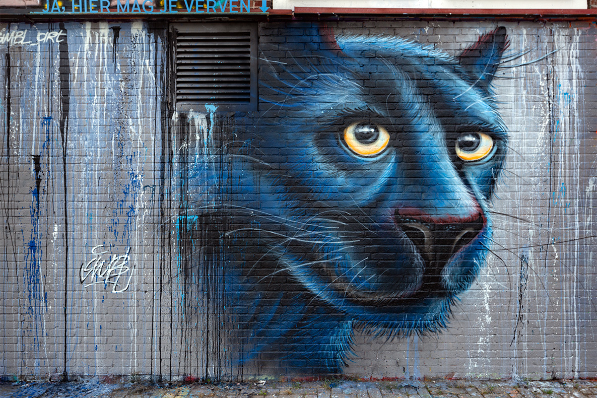 street-art. graffiti, spraycan, painting, spuitbus, black, panther, panter, endangered animals, endangered, ,