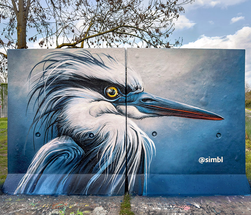 jan stel, simbl, street art, graffiti, kings of colors, spring of colors, festival, den bosch, 