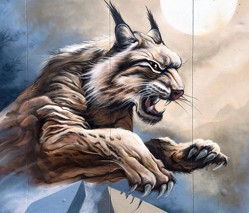 jan stel, simbl, street art, graffiti, straat museum, ndsm, amsterdam, 